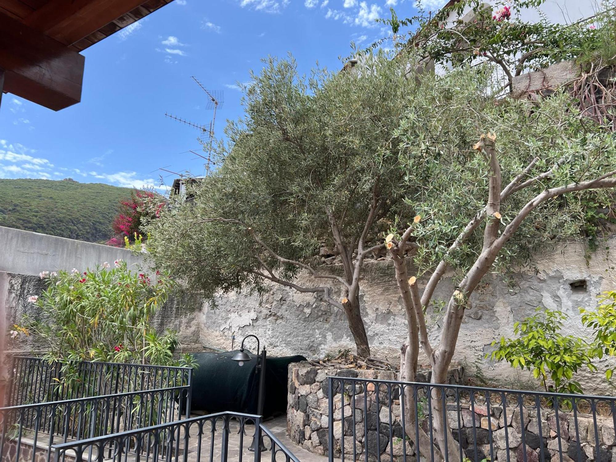 Holiday home Casa Calandra